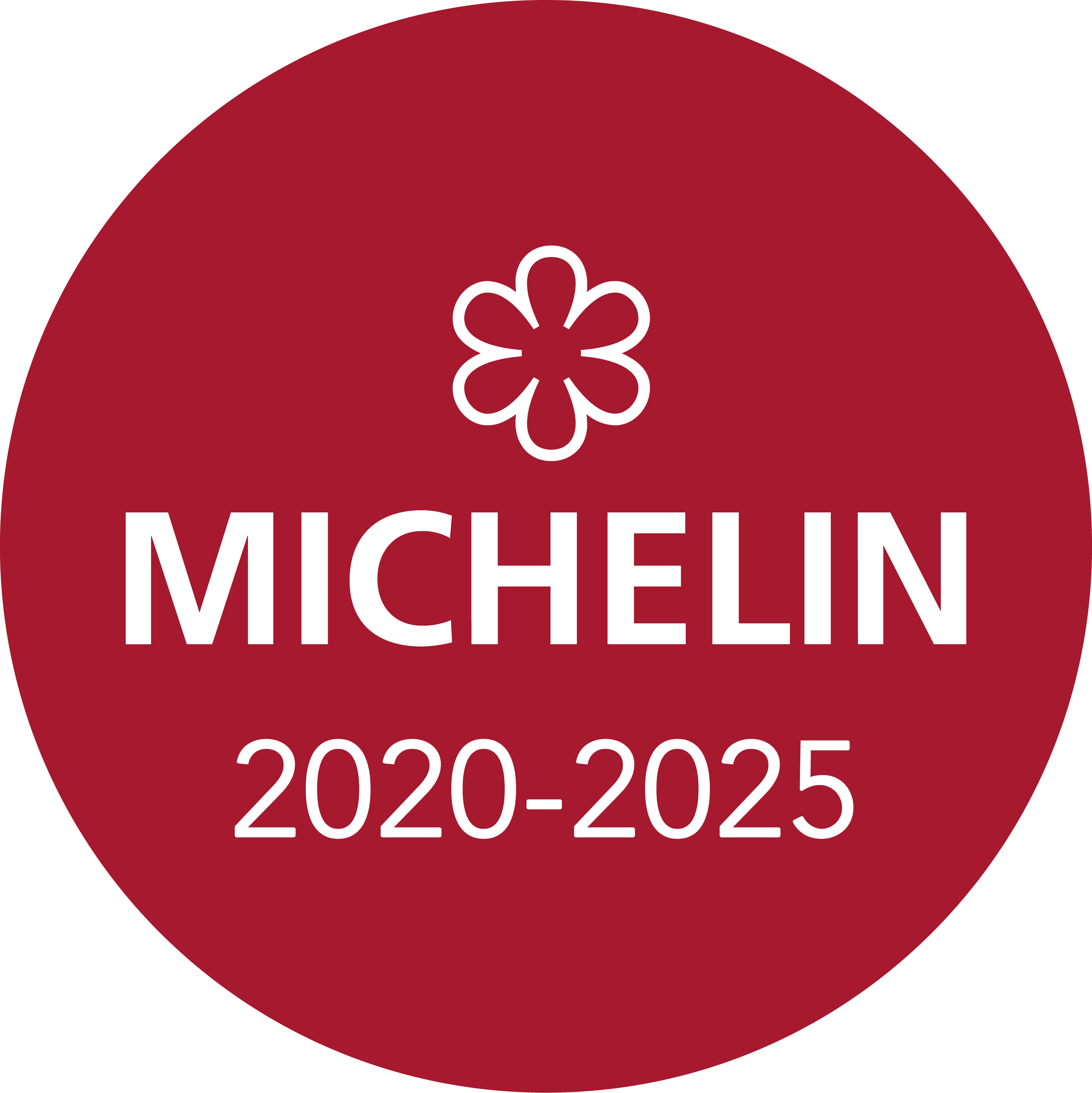 Michelin Guide